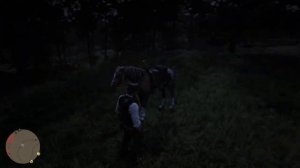 Red Dead Redemption 2
1000048541.mp4