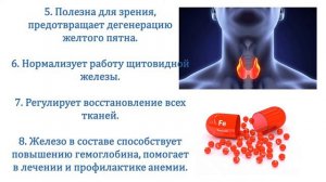 Чем полезна куриная печень для организма человека