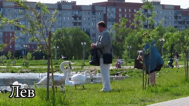 Звезды сулят 4 знакам зодиака сорвать денежный куш и внезапно стать настоящими богачами в год Быка