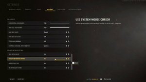 How To Enable/Disable Use System Cursor Call Of Duty Vanguard