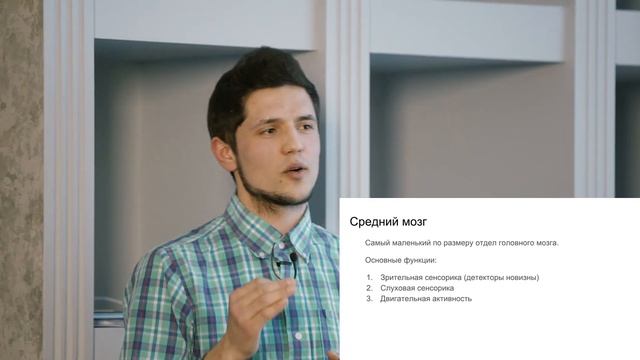 Сергей Страленя - Как шевелятся извилины. Часть 1 смотреть онлайн