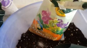 Почвоулучшители грунта для рассады и комнатных растений. Какие и как использовать?