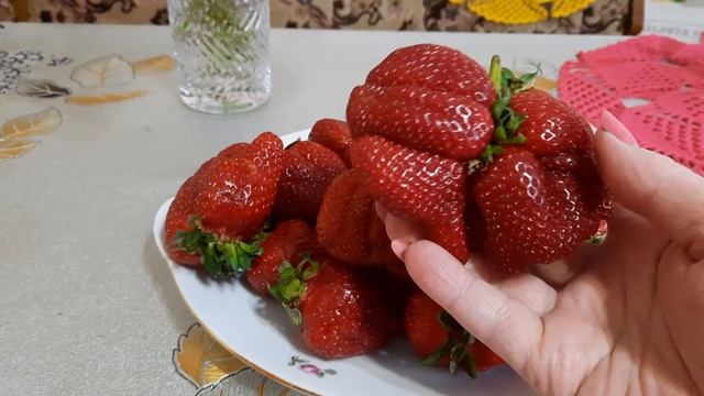 Кубанская клубника Гигантела.??? смотреть онлайн