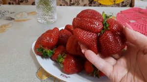 Кубанская клубника Гигантела.???