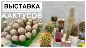 Будни цветовода _ ?Выставка кактусов ?_ 29.05.2022г..mp4