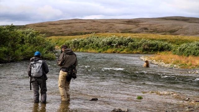 #392 США Аляска Кинг Салмон Наташа и Джек Природа - Красная рыба - Медведи смотреть онлайн