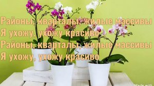 звери 《 районы- кварталы 》 текст песни