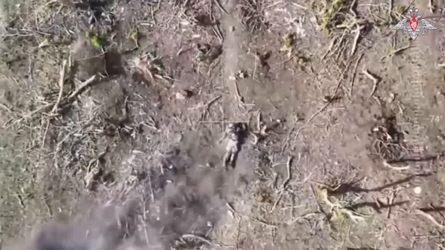 Уничтожение с помощью БПЛА пехоты ВСУ на Артемовском направлении