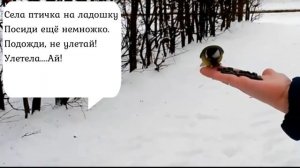 Села птичка на ладошку, М.Раухвергер, сл. А.Барто