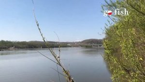 Река Раздольная (Суйфун) / Места рыбалки и отдыха / Уссурийск / Приморский край / Май