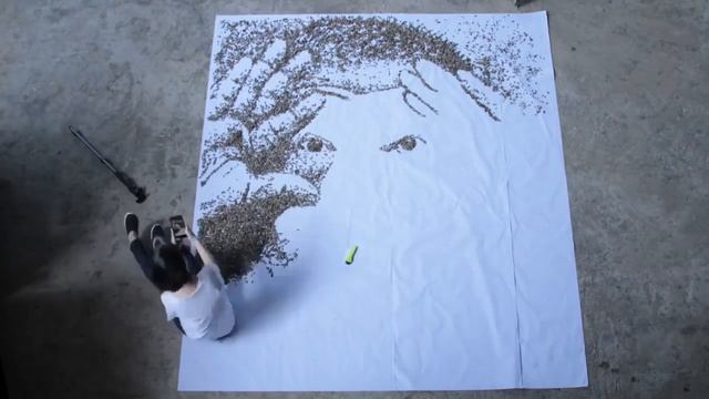 Картина из 30000 семечек смотреть онлайн