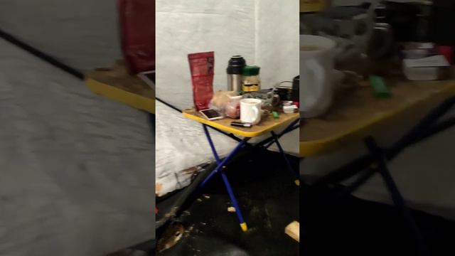 на озере с ночёвкой в палатке смотреть онлайн