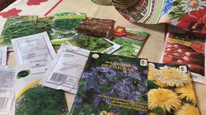 Всё что можно посеять в августе