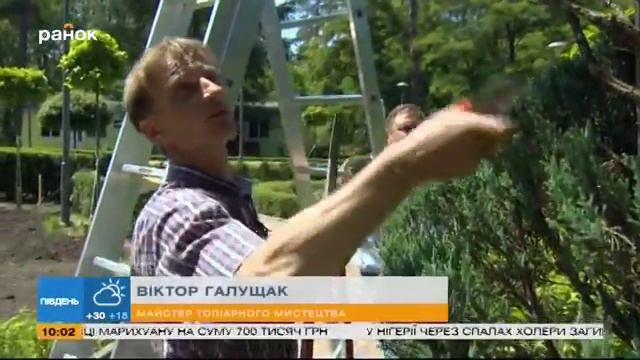 Садовые советы. Декоративные растения на вашем участке смотреть онлайн