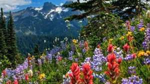 Горные пейзажи и красивая музыка!