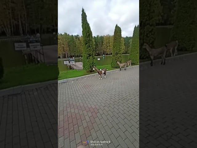 7 октября 2022 г. смотреть онлайн