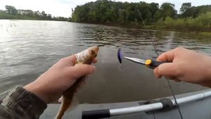ЗА ЭТОТ ВОБЛЕР ЩУКА,ОКУНЬ РОДИНУ ПРОДАСТ!!!Yo Zuri L Minnow 44