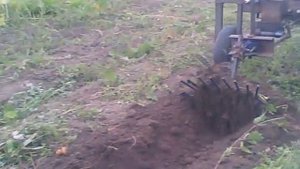 копка картошки мотоблоком ЗУБР