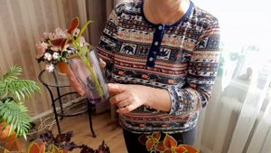 КОЛЕУС - черенкование после зимовки - итоги осеннего сохранения цветка