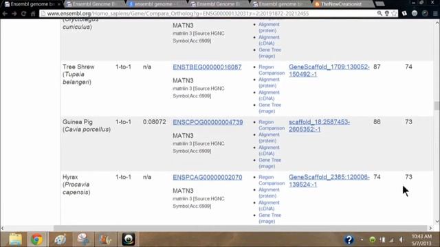 Gene Comparisons in Ensembl смотреть онлайн