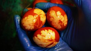 Яйца в луковой шелухе без химии❗️Как оригинально покрасить яйца на Пасху