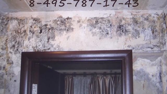 Независимая экспертиза после залива квартиры смотреть онлайн