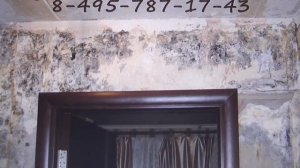 Независимая экспертиза после залива квартиры