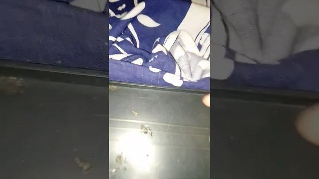 грохочит гром #рек #рек #2023 #shorts # смотреть онлайн