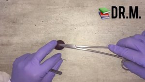 Простой узловой шов иглодержателем Гегара на виноградинку