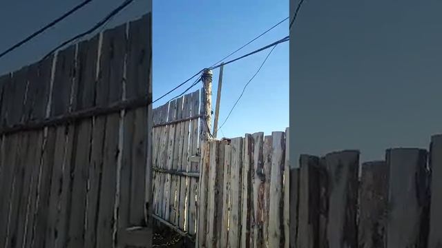 Друзья поможем приюту Возрождения нужно сделать кабель,он стоит 85 000. смотреть онлайн