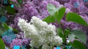 поздравление водителю с днем рождения