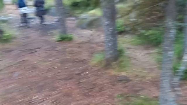 Пеший поход по Карельским лесам на Ястребиное озеро. смотреть онлайн