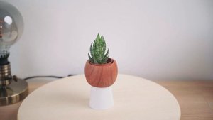 Create a 3d Model using your Phone! PolyCam 3D Scan Tutorial