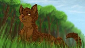 Как я слышу голоса "Котов-воителей".