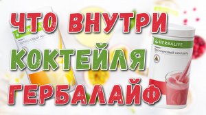 Из чего сделан коктейль Гербалайф. Что внутри коктейля Формула 1 Herbalife Полный обзор