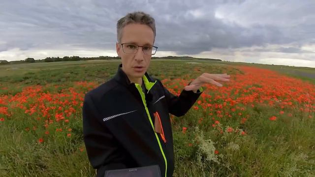 FOTO to GO #1 🌹Raus trotz Regen! Mohnblumen fotografieren u.i. Lightroom bearbeiten смотреть онлайн