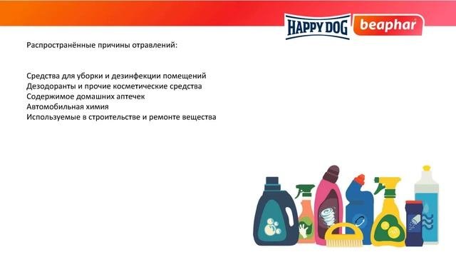 Отравление лекарственными и бытовыми средствами
