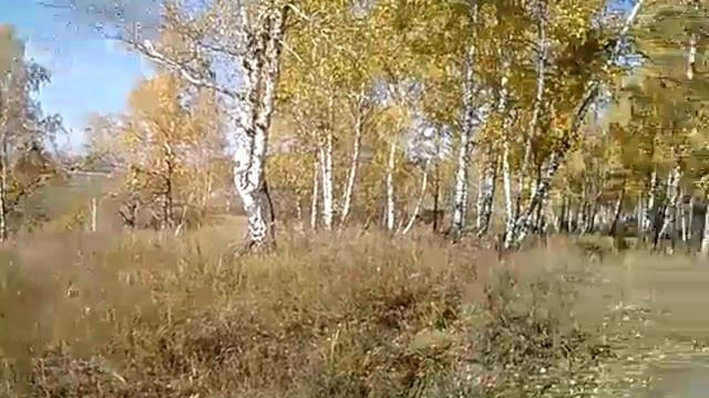 сибирская поздняя осень смотреть онлайн