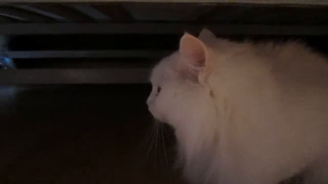 грейс нуждается в семье смотреть онлайн