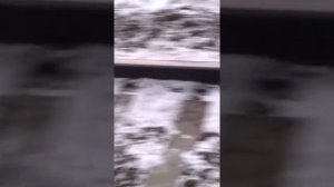 Кладём вещи под поезд ?? ? ? ? ? ?