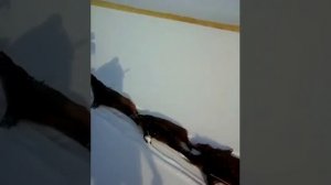 Охота в Казахстане (кабан)