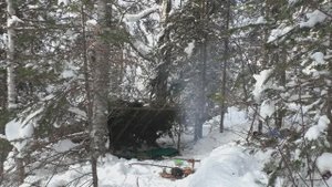 Поход в лес..avi