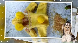 Плюшевый комбинезон на собаку вязаный