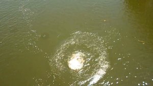 прыжок с моста святогорск безумие