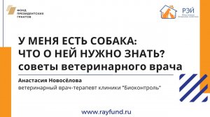 У меня есть собака: что о ней нужно знать? Советы ветеринарного врача