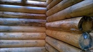 Как выбрать антисептик для древесины – огнезащита, биозащита, отбеливающие средства и пропитки