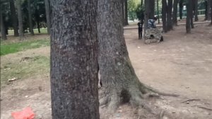 Войнушка