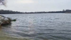 Пляж «Яйцо» . Курск. ВОЛОКНО. ЦВЕТОВ ЛЕС