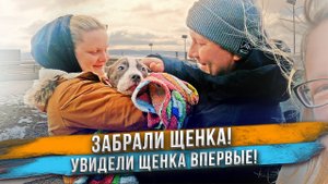Люди впервые увидели щенка! Незабываемая встреча! Ждем роды у Бэтти.