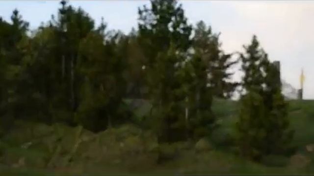 Сбор сосновых почек смотреть онлайн